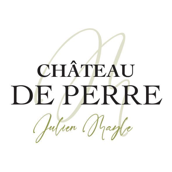 New Logo CHT de Perre